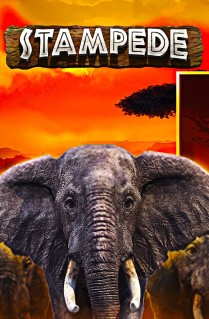 Stampede - The wild African beats are calling you. Come and enjoy the wild landscapes of Africa in this exciting slot game. 