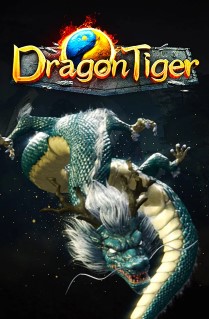 Dragon & Tiger