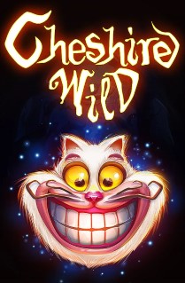 Cheshire Wild - This beautifully designed game is a homage to Alice in Wonderland and is played on 5 reels, 10 paylines, and offers a great bonus game. 