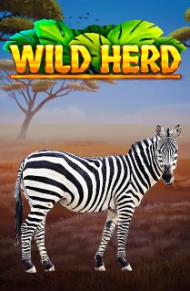 Image of Wild Herd online slot. This slot showcases all the majestic animals of Africa and is played on 5 reels, 1,024 ways to win, and loads of free spins. 