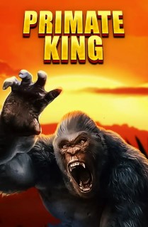 Primate King - This jungle-themed progressive slot is a real treat. It offers play on 5 reels, with 30 paylines, loads of bonus features and 3 amazing progressive jackpots that need to be won every day. 