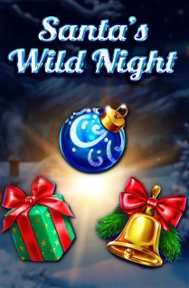 Santa’s Wild Night