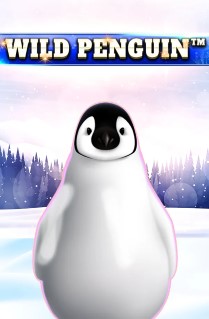 Wild Penguin