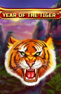 Year Of The Tiger