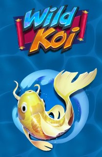 Wild Koi