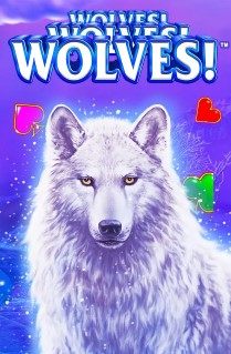 Wolves! Wolves! Wolves!