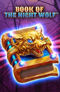Book Of The Night Wolf