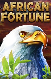 African Fortune