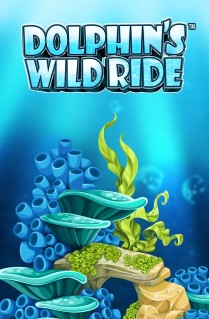 Dolphins Wild Ride