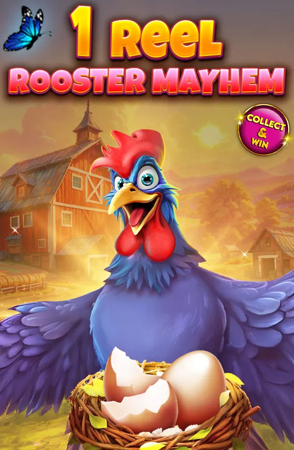 1 Reel - Rooster Mayhem