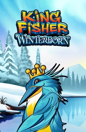 Kingfisher Winterborn