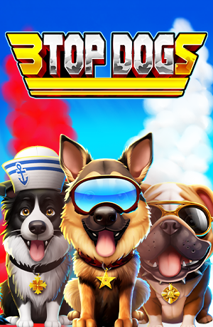 3 Top Dogs