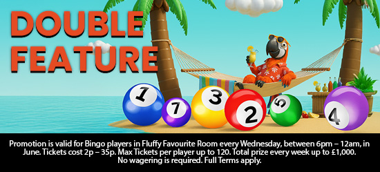 Double Feature Bingo