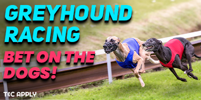 Greyhound Racing is Here!