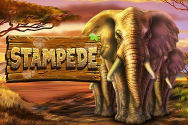 Stampede