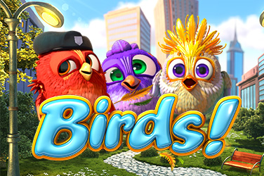 Birds!
