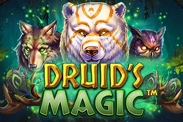 Druid's Magic Slot Logo