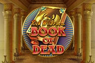 Play Book of Dead slot at The Best Online Casino in UK